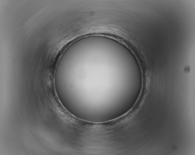 X0000111621497200907311150