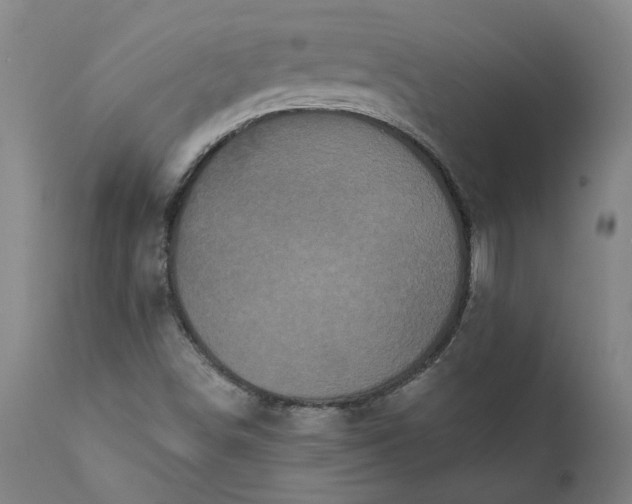 X0000111621498200907311150