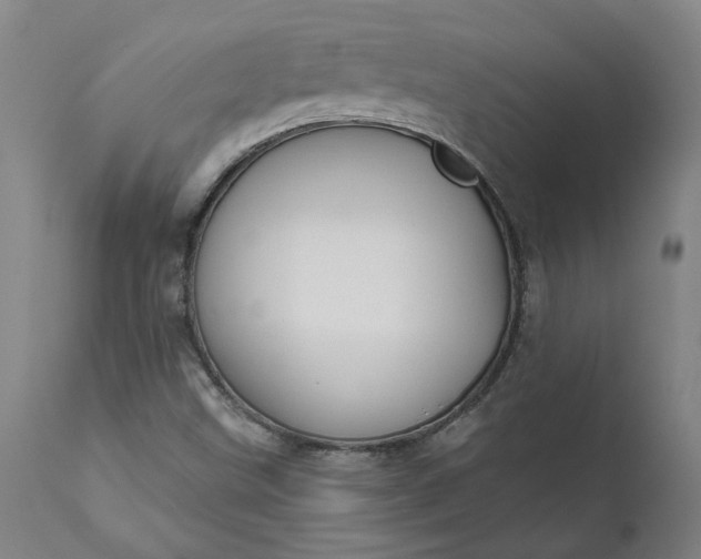 X0000111621499200907311150