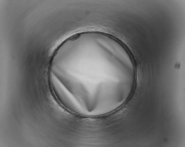 X0000111621500200907311150