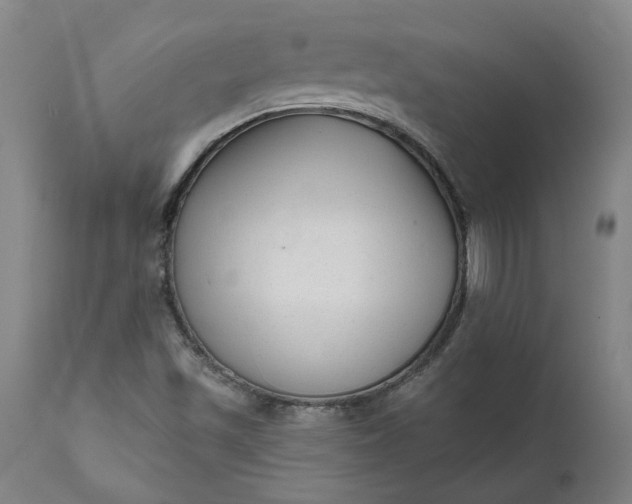X0000111621501200907311150