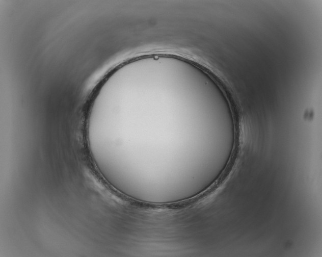 X0000111621502200907311150