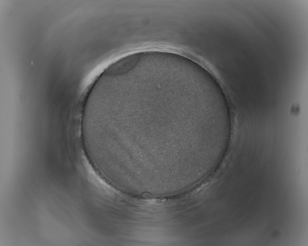 X0000111621504200907311150
