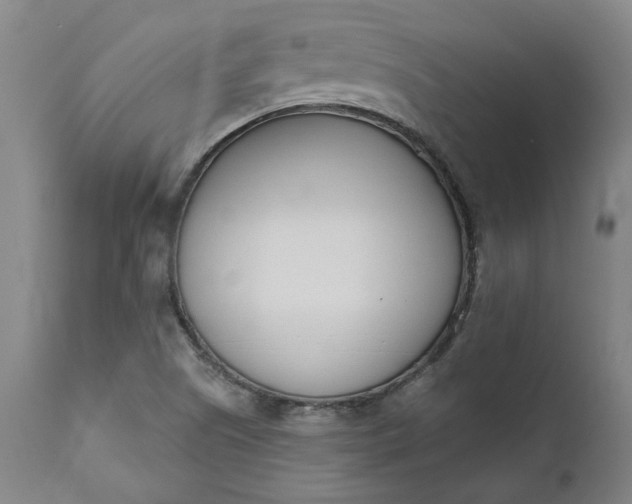 X0000111621505200907311150