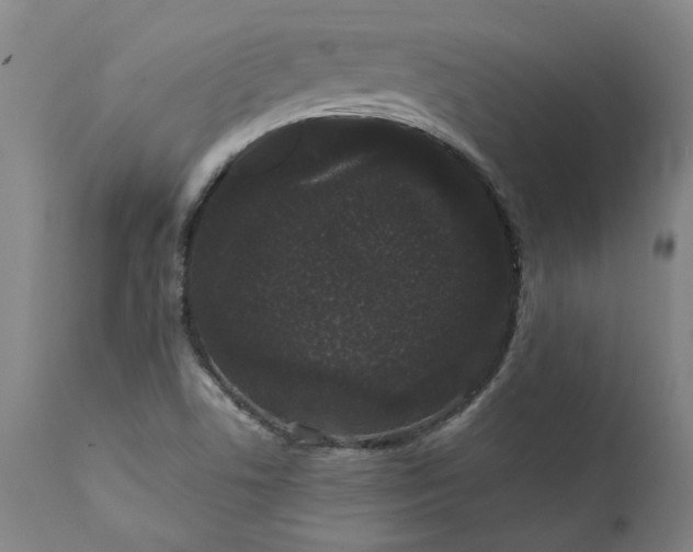 X0000111621506200907311150