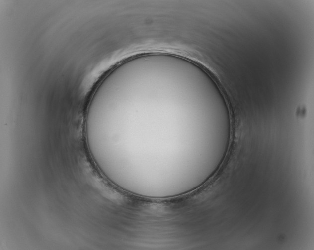 X0000111621507200907311150