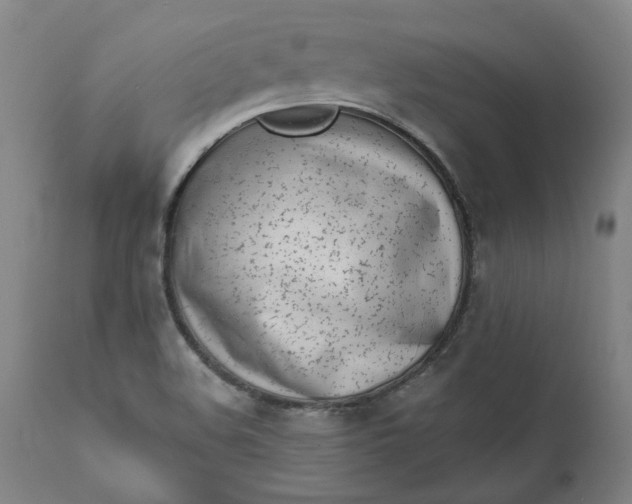 X0000111621508200907311150