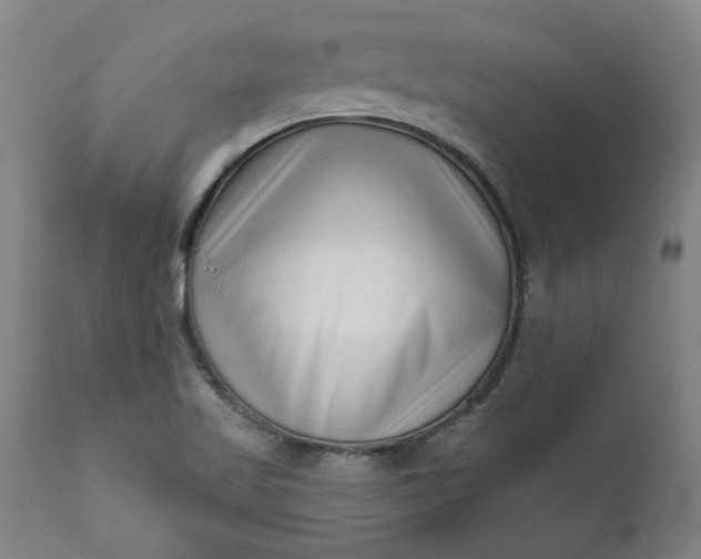 X0000111621509200907311150