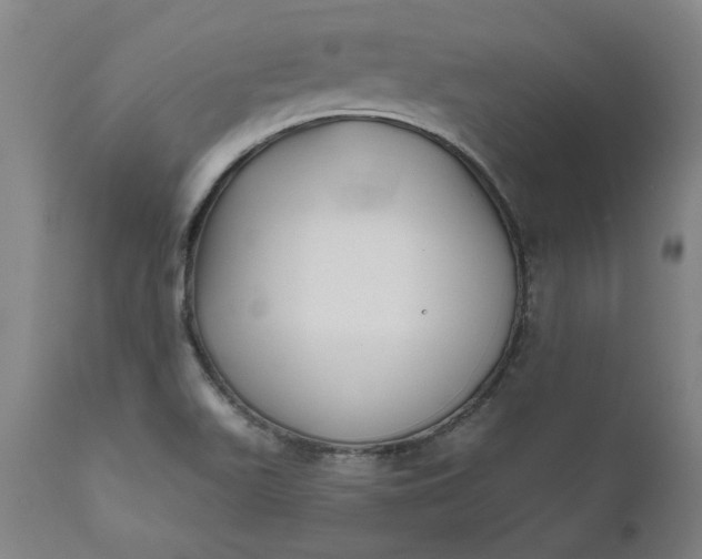 X0000111621511200907311150