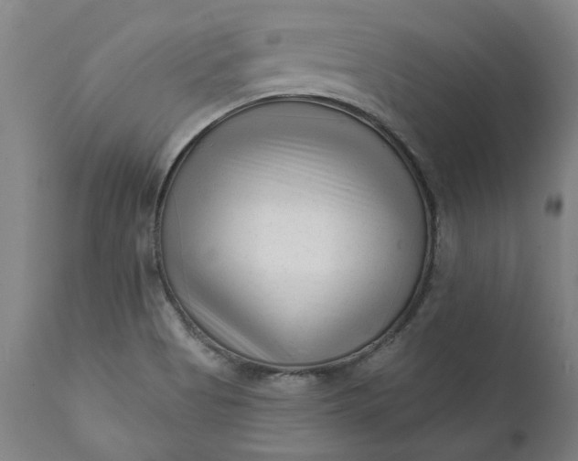 X0000111621513200907311151
