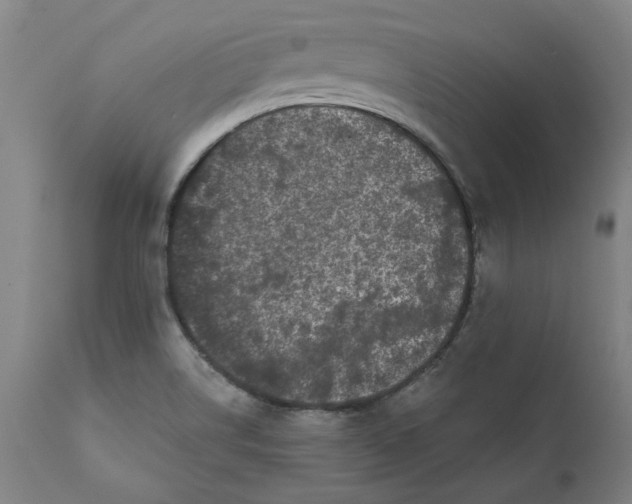 X0000111621514200907311151
