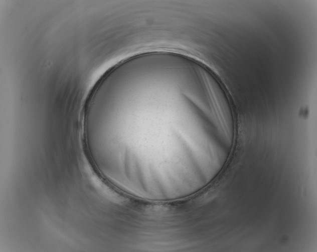 X0000111621515200907311151