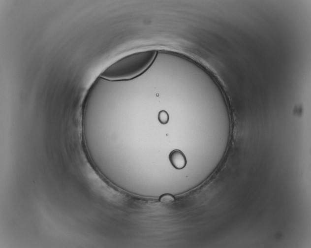 X0000111621516200907311151
