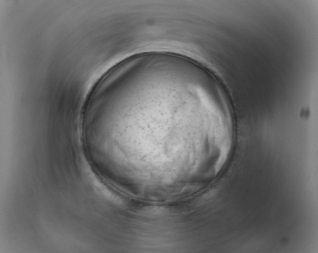 X0000111621517200907311151