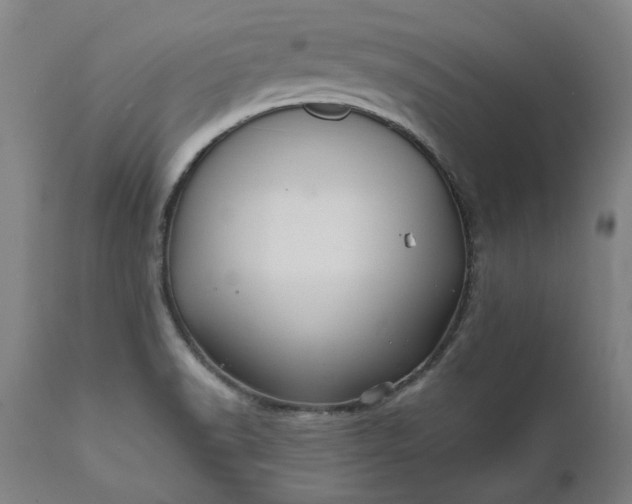 X0000111621518200907311151