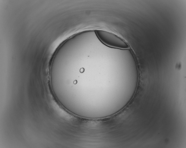 X0000111621519200907311151