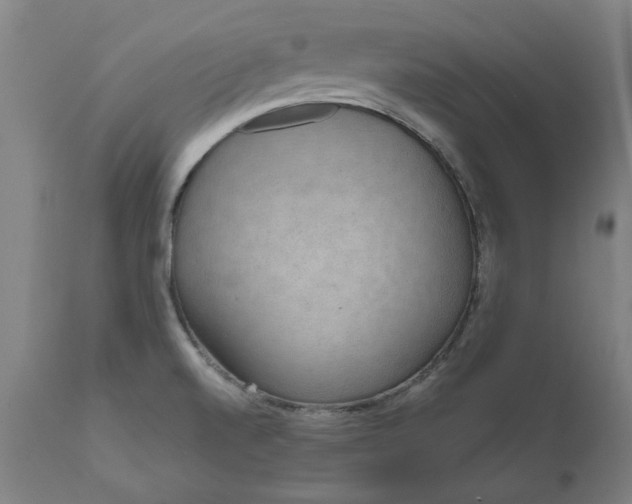 X0000111621520200907311151
