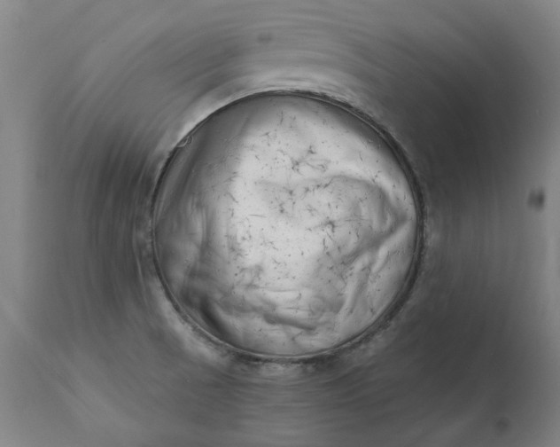 X0000111621521200907311151