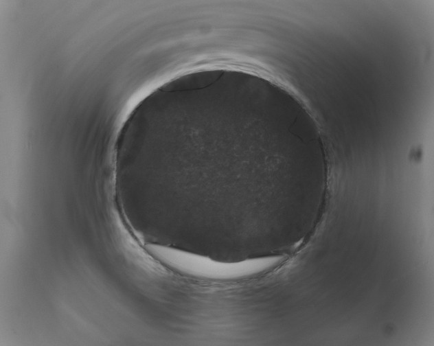 X0000111621522200907311151