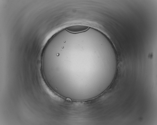 X0000111621523200907311151