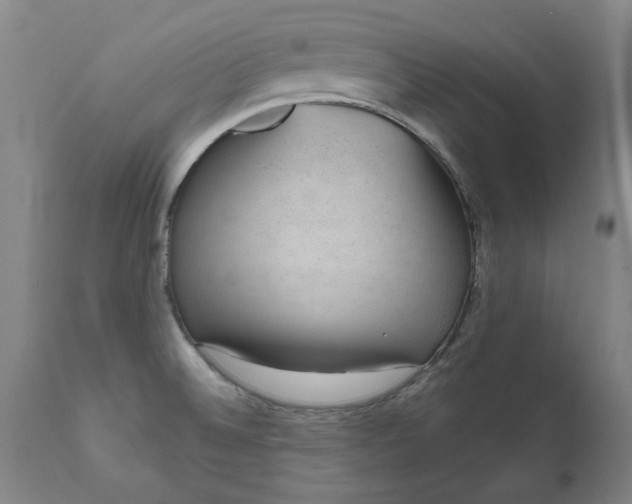 X0000111621524200907311151