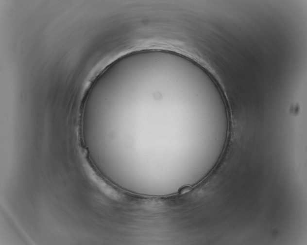 X0000111621525200907311151