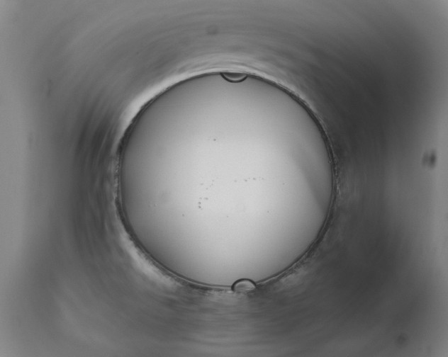 X0000111621526200907311151