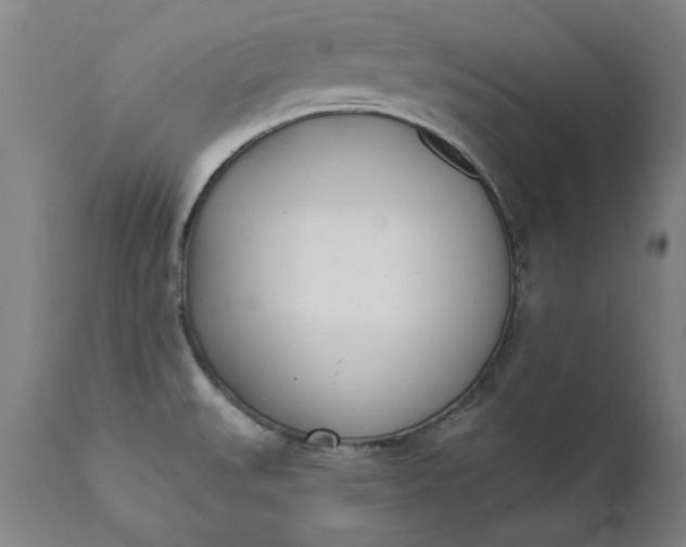 X0000111621527200907311151