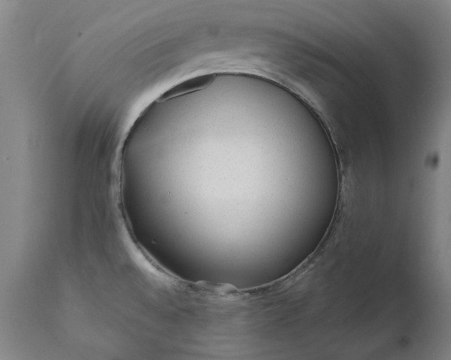 X0000111621528200907311151