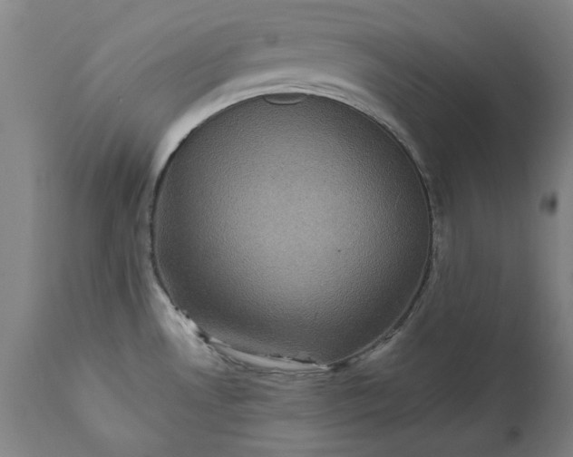 X0000111621530200907311151