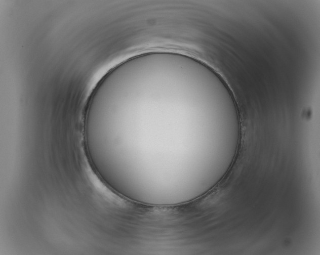 X0000111621531200907311151
