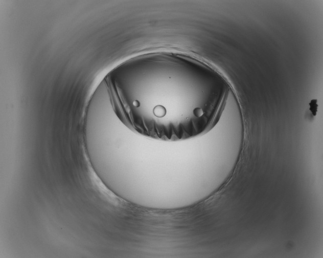 X0000111621532200907311151