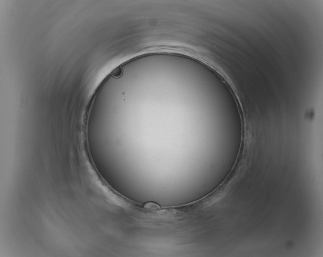 X0000111621533200907311151