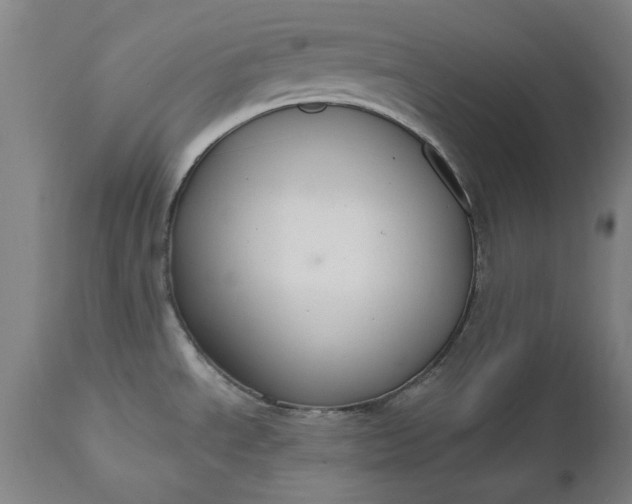 X0000111621534200907311151