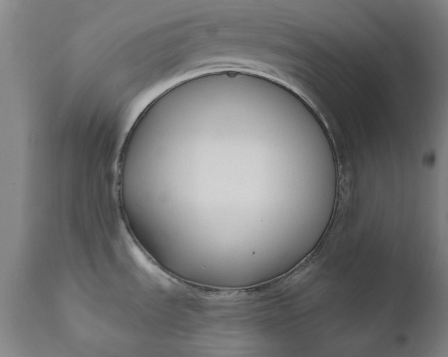 X0000111621535200907311151