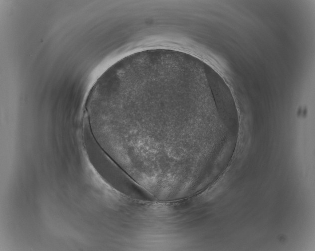 X0000111621536200907311151