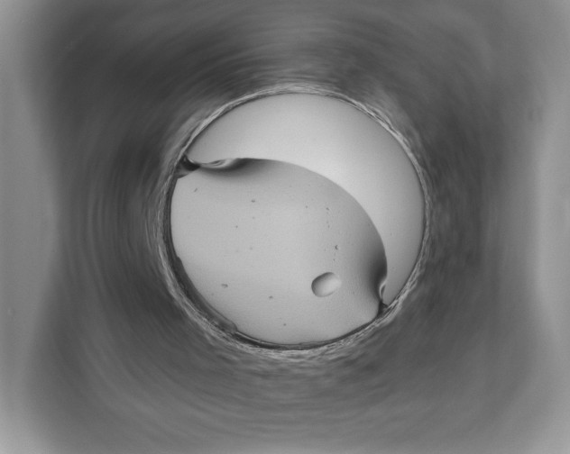 X0000111620001200908071400