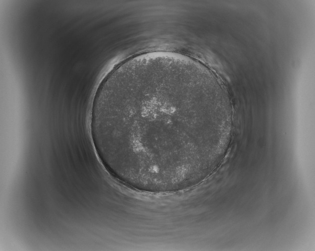 X0000111620003200908071400