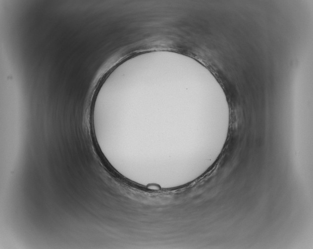 X0000111620004200908071400