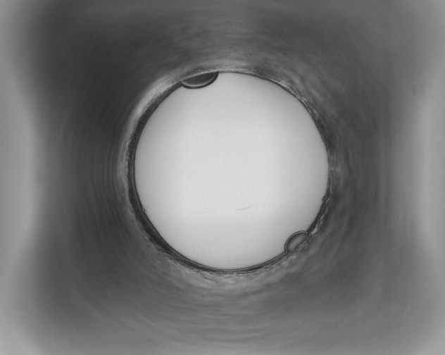 X0000111620006200908071400