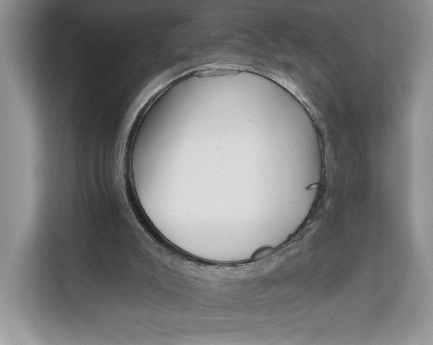 X0000111620007200908071400