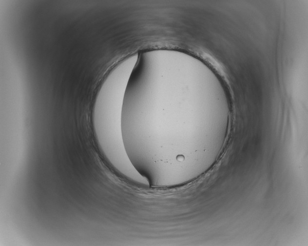 X0000111620009200908071400