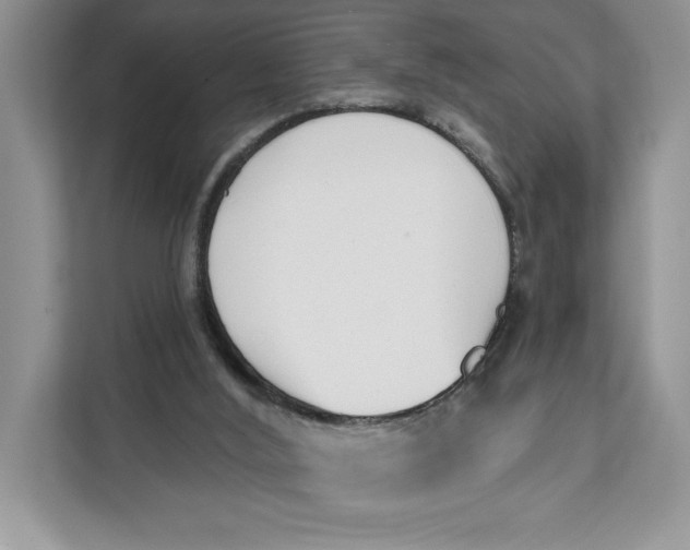 X0000111620012200908071400