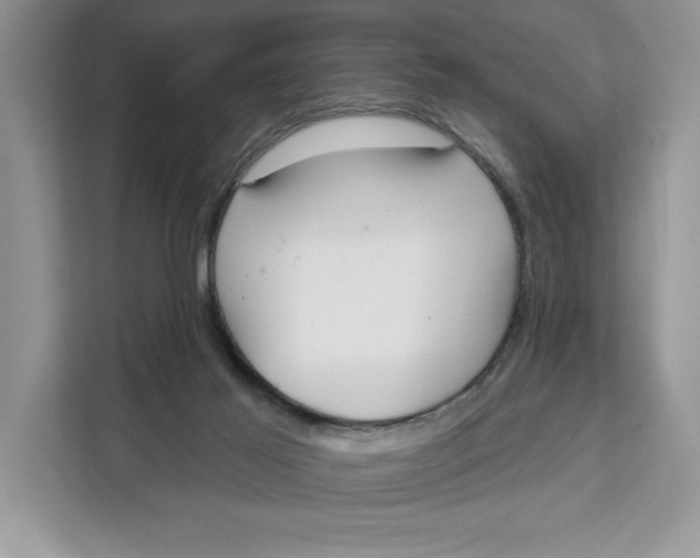 X0000111620021200908071400