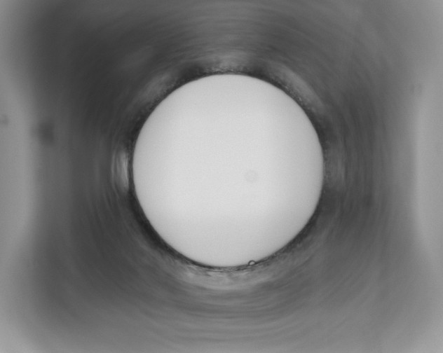 X0000111620022200908071400