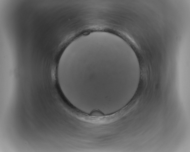 X0000111620023200908071400