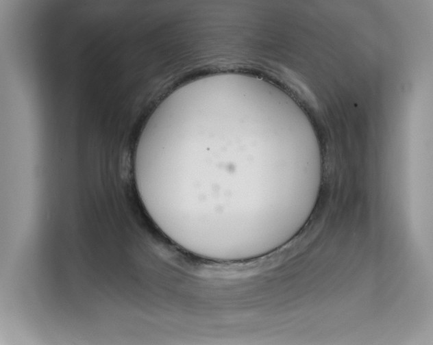 X0000111620025200908071400