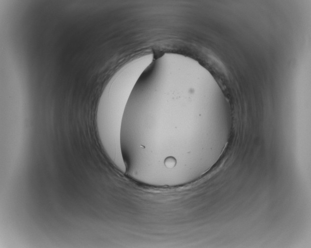 X0000111620029200908071359