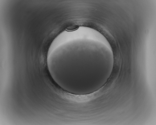 X0000111620031200908071359