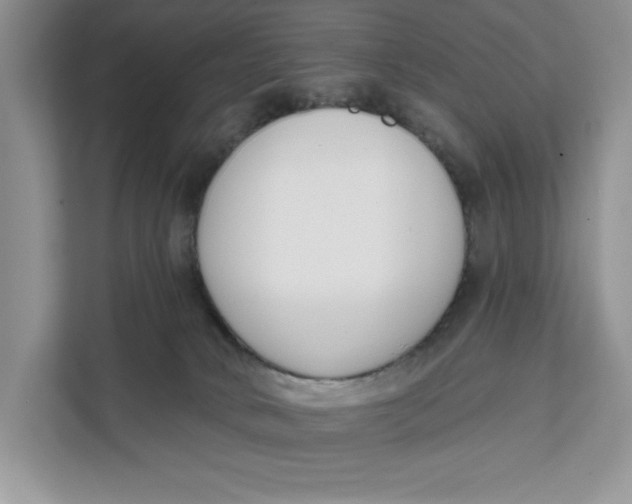 X0000111620034200908071359